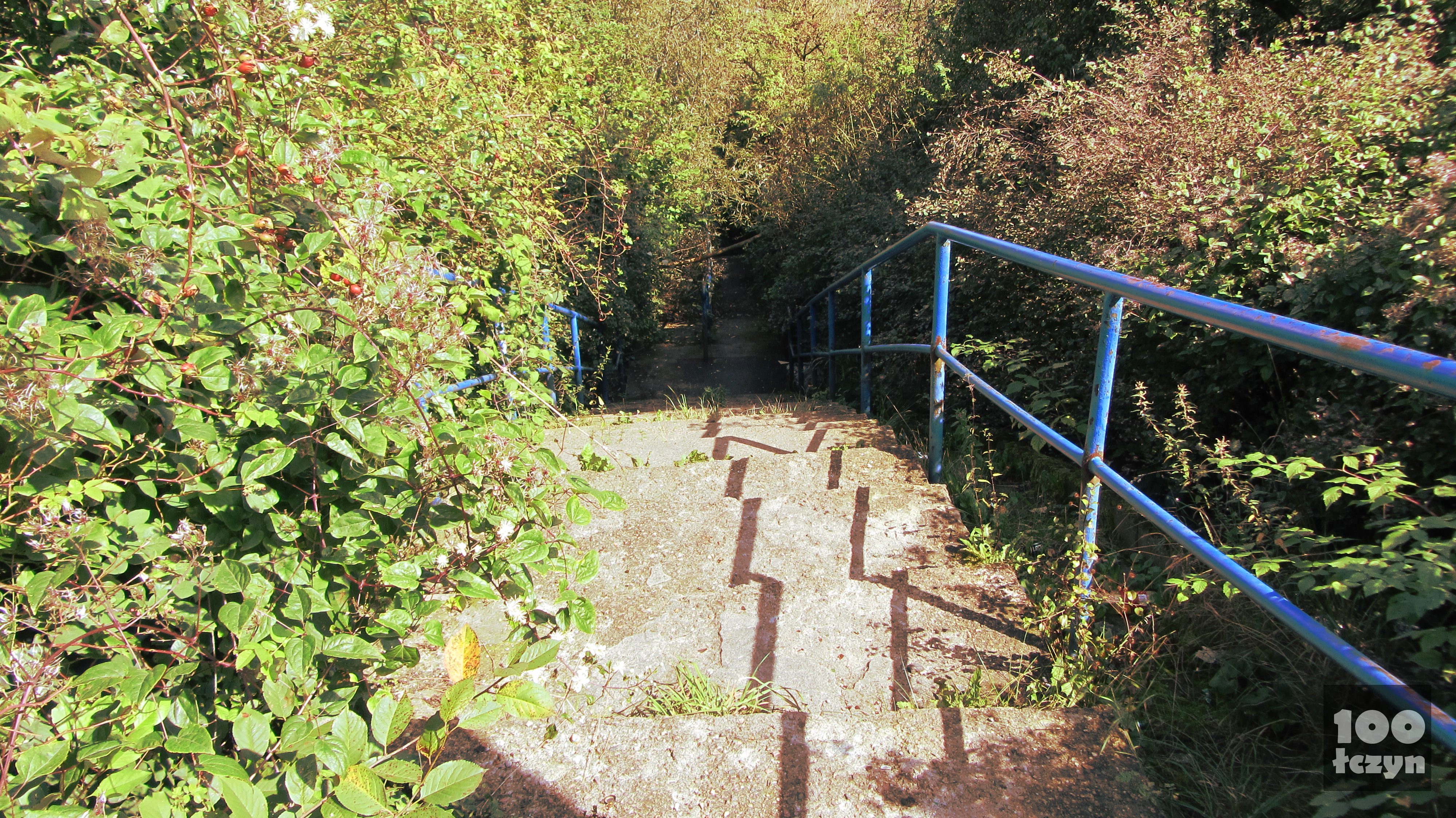 schody na Zamkniętą