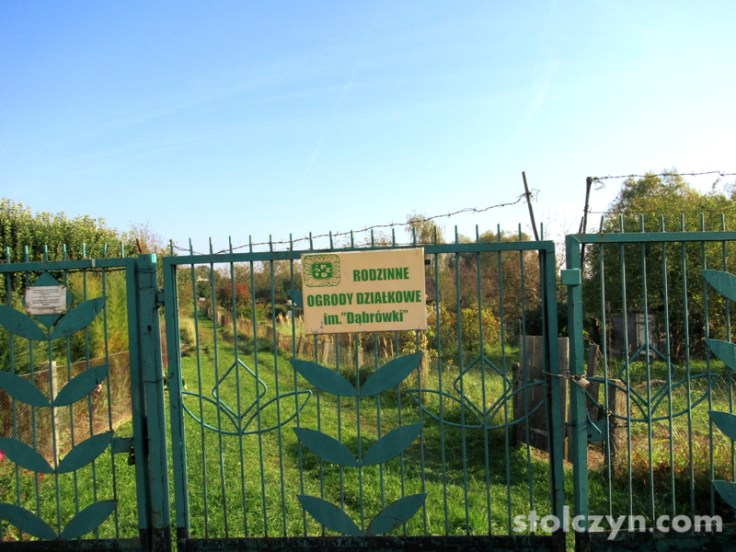 dąbrówki (10).jpg