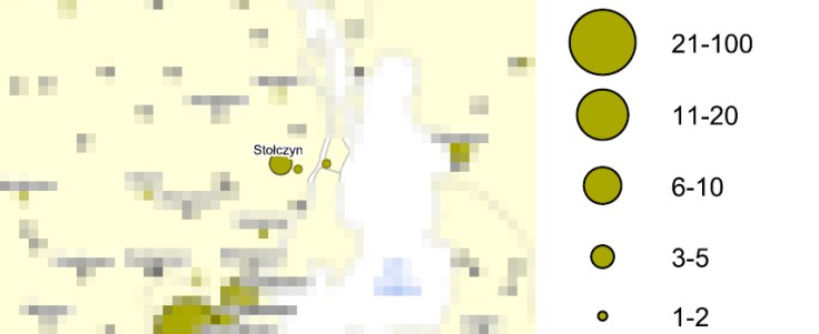 liczba osób głuchoniemych.jpg