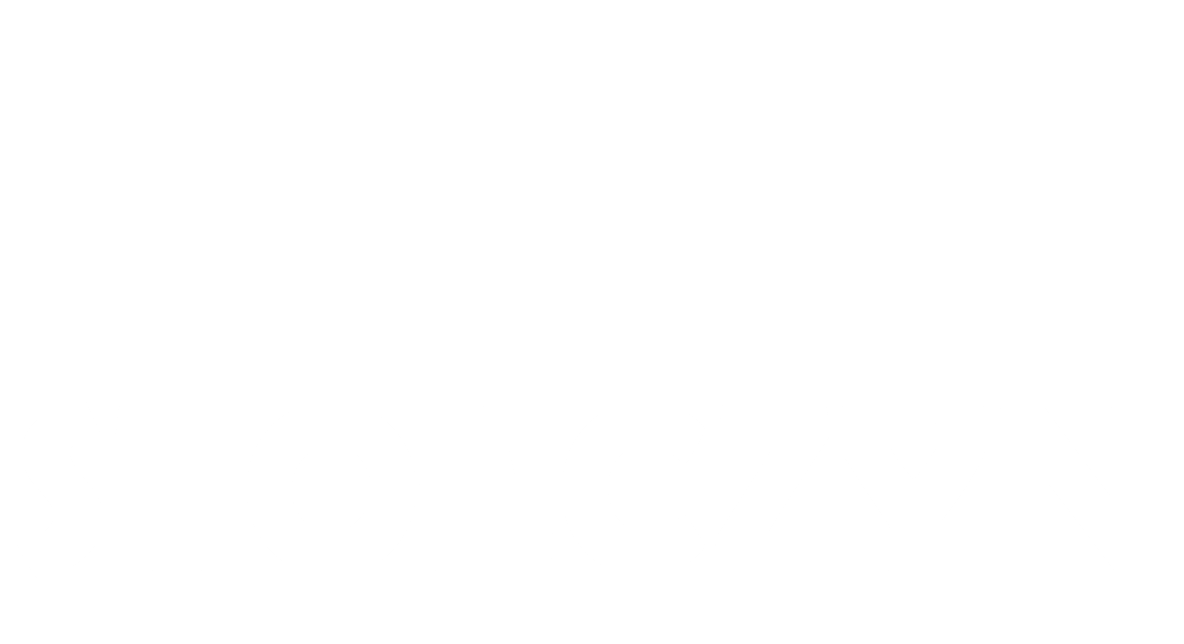 stolczyn. com logo
